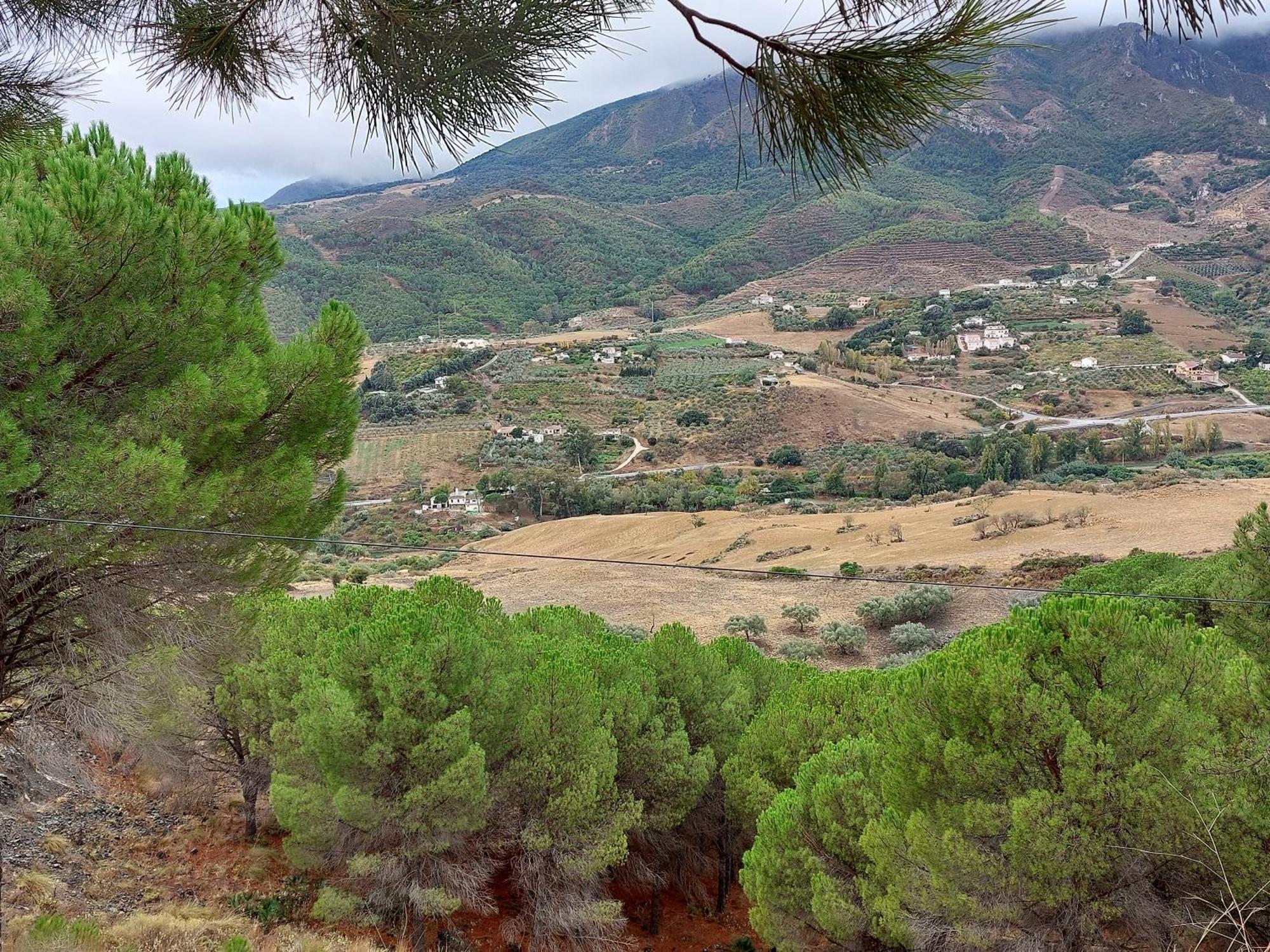 Carratraca El Bufon De La Corte المظهر الخارجي الصورة