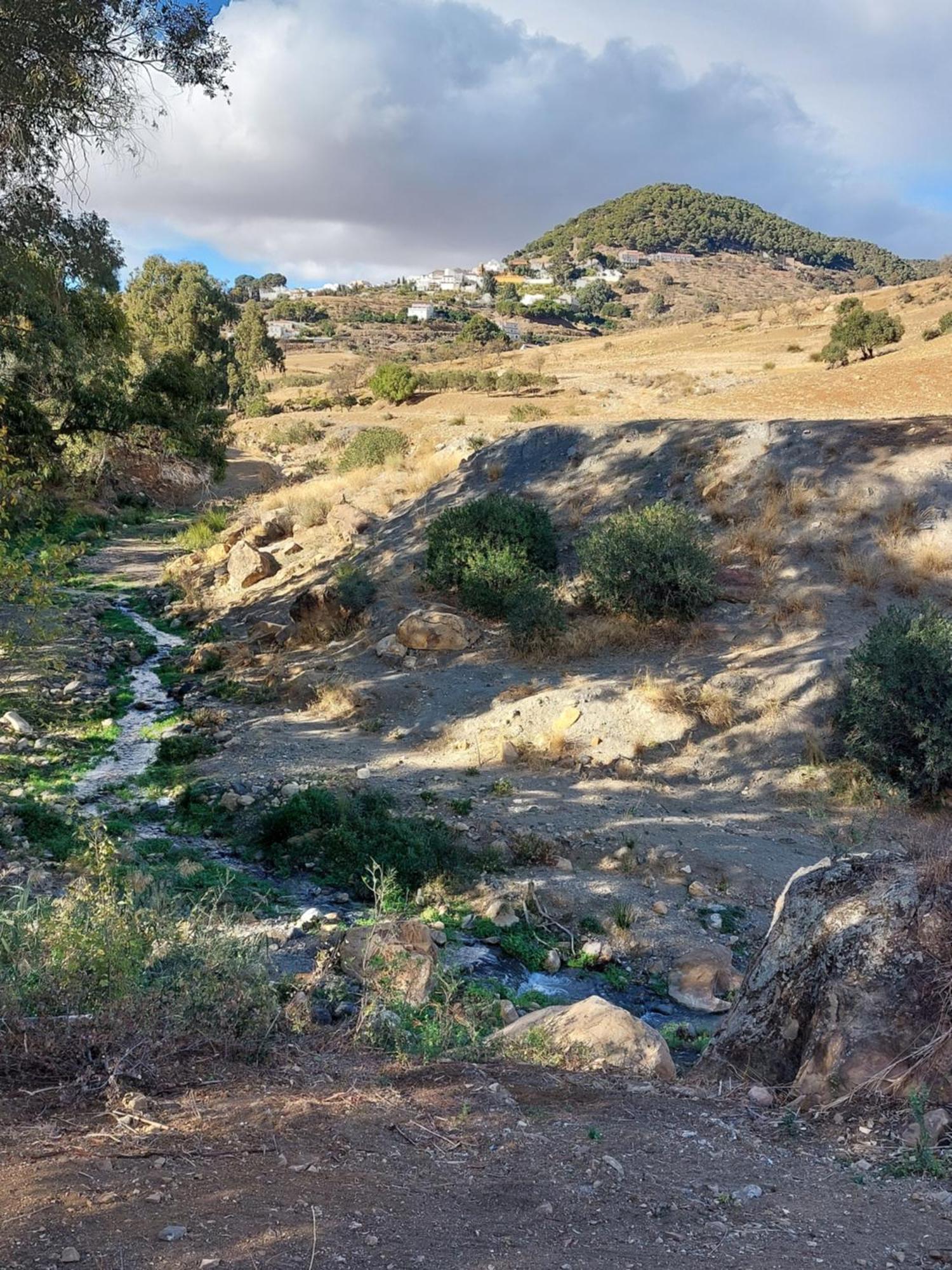 Carratraca El Bufon De La Corte المظهر الخارجي الصورة